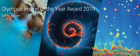 1911OEKG07Aug The Art of Science - Olympus Launches the First Global Image of the Year Award
