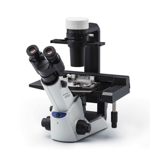 CKX53 Microscope